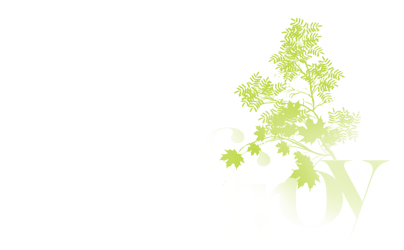 Geoffroy Clemenceau / Créateur de jardins naturels